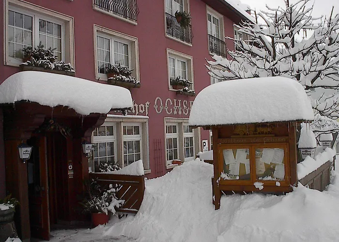 酒店 Zum Ochsen Löffingen