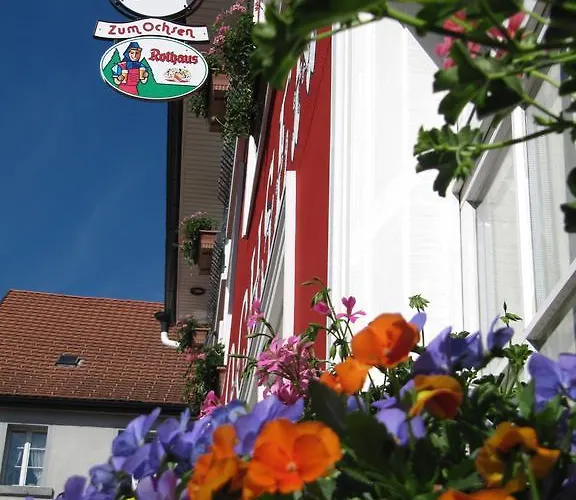 酒店 Zum Ochsen Löffingen